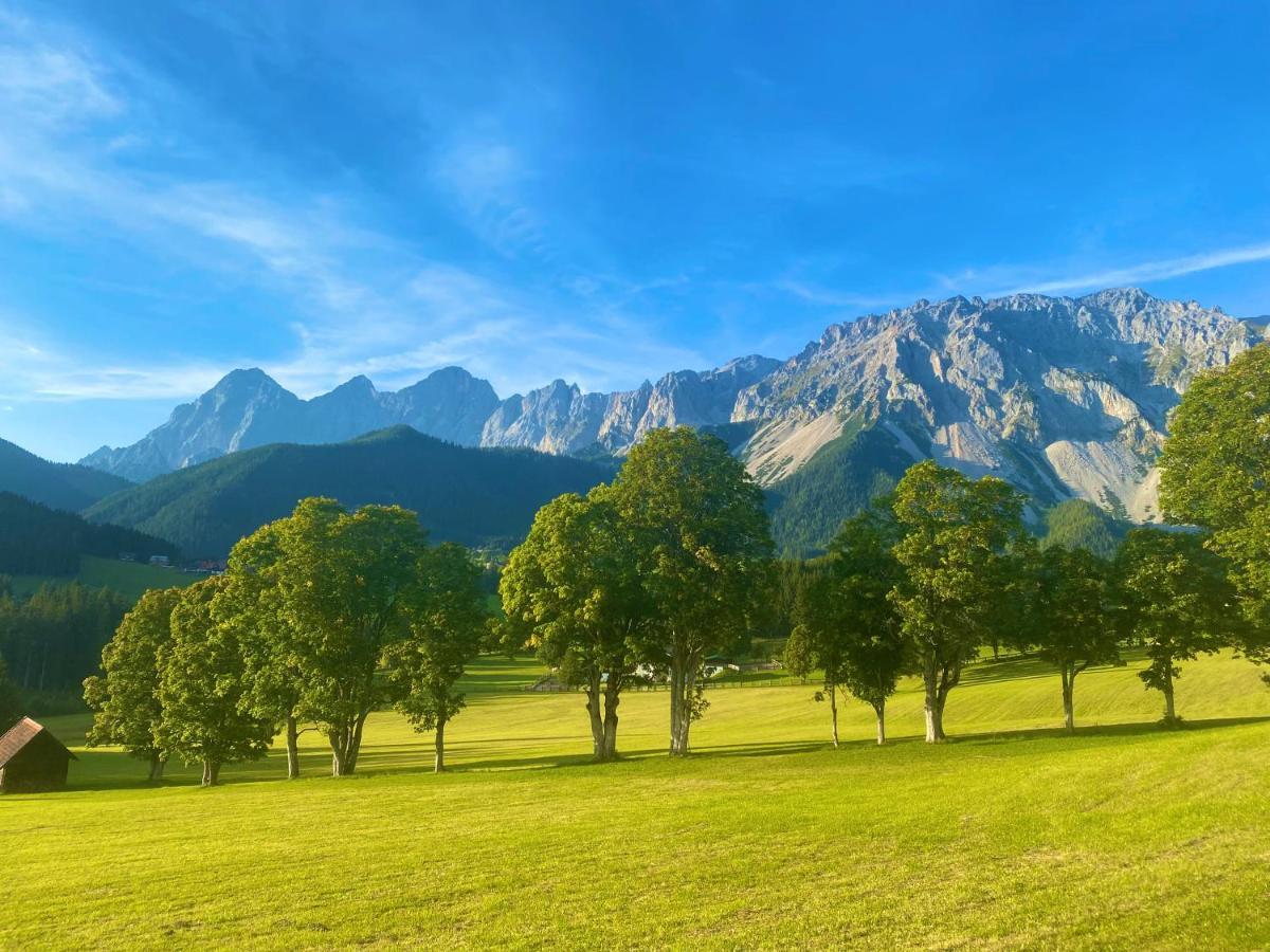 Appartement Steinfisch Ramsau am Dachstein Extérieur photo